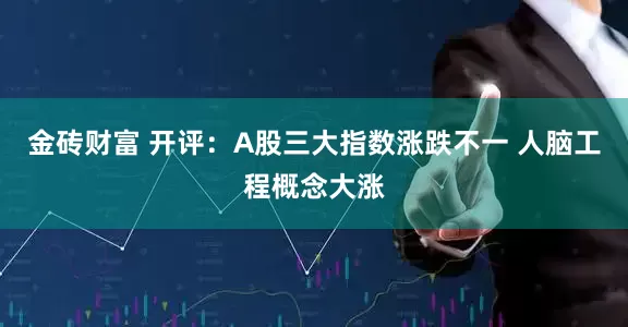 金砖财富 开评：A股三大指数涨跌不一 人脑工程概念大涨