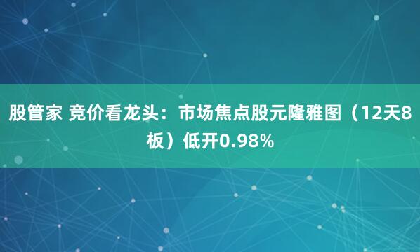 股管家 竞价看龙头：市场焦点股元隆雅图（12天8板）低开0.98%