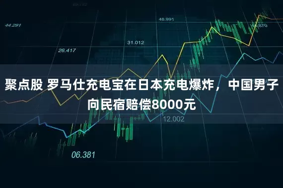 聚点股 罗马仕充电宝在日本充电爆炸，中国男子向民宿赔偿8000元