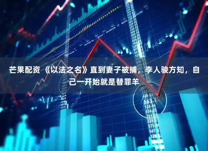 芒果配资 《以法之名》直到妻子被捕，李人骏方知，自己一开始就是替罪羊