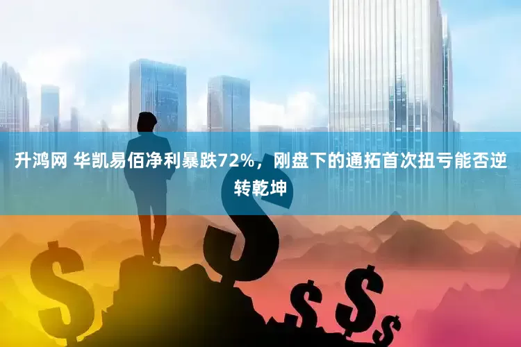 升鸿网 华凯易佰净利暴跌72%，刚盘下的通拓首次扭亏能否逆转乾坤