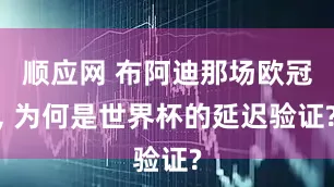 顺应网 布阿迪那场欧冠, 为何是世界杯的延迟验证?